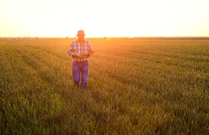 asset-management-2 Asset Management - Man walking crop fields